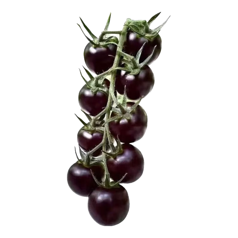 ������С�������� ����ʥŮ��ˮ�� ���� 1��Լ200�� 1.01Ԫ