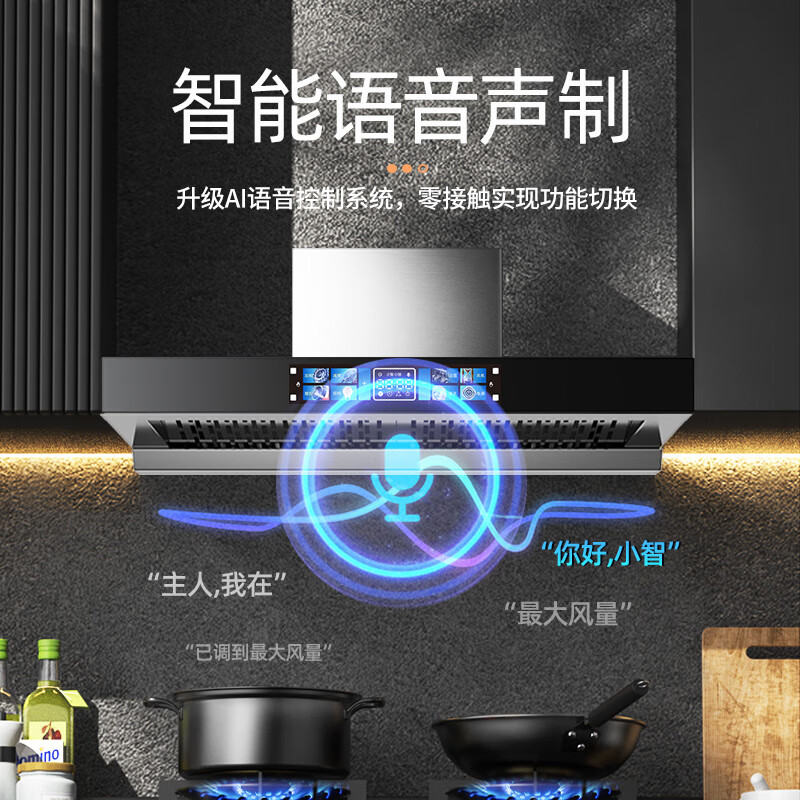 TOYODENKI【国家补贴x以旧换新】家用超薄油烟机小尺寸油烟机700mm油烟机800mm矮款油烟机矮机身油烟机600mm 【600mm语音双滤网款】不锈钢AI语音-自动清洗