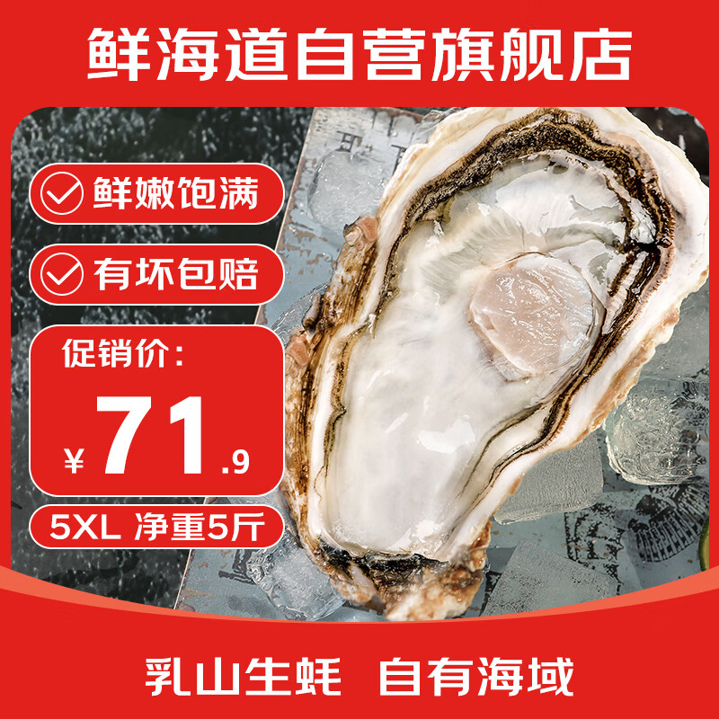 鲜海道 鲜活乳山生蚝5XL 净重5斤 9-12只 生鲜海鲜贝类 源头直发