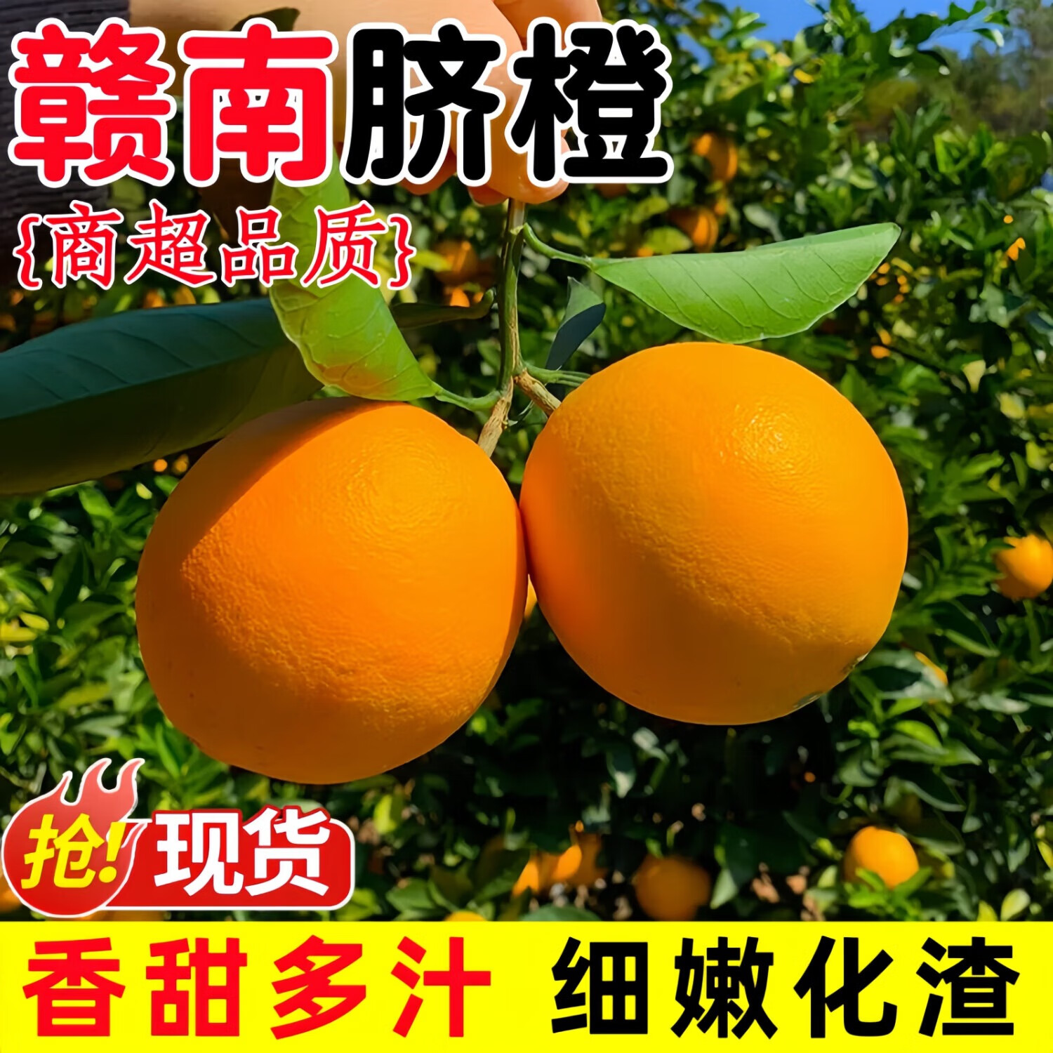 江西赣南脐橙礼盒装 | 只需44.9元！