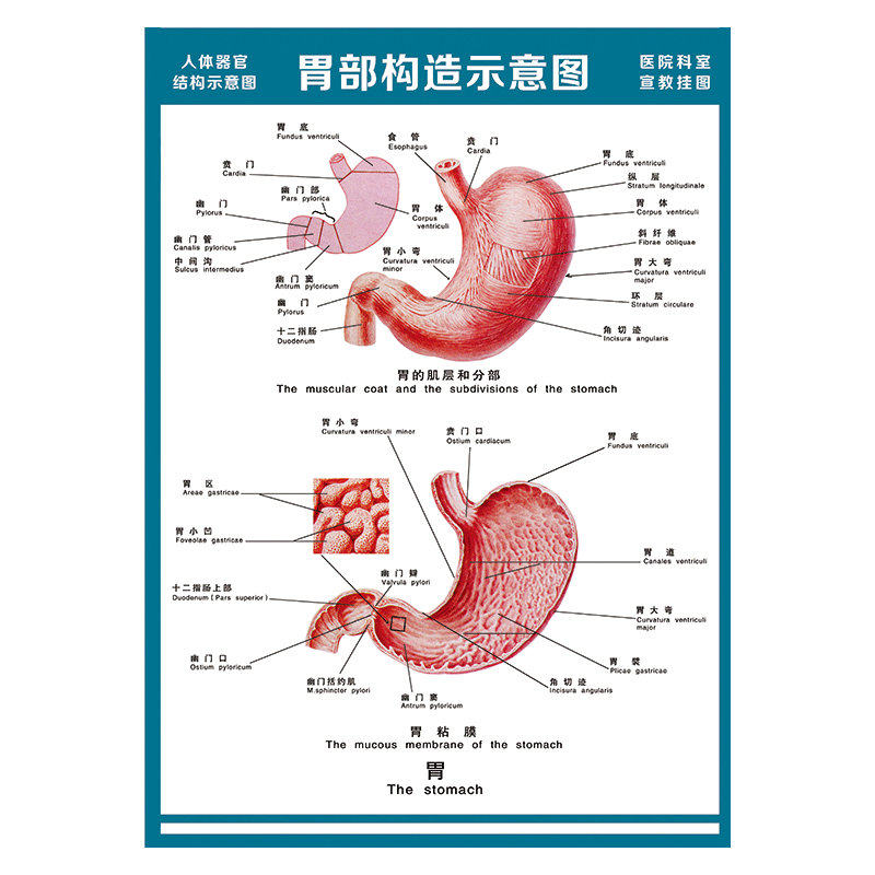 纸品印刷制品怎么看历史价格|纸品印刷制品价格历史