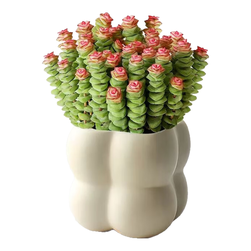 ǮֲԻ вǮӴ+ķ֬ Դͷֱ 25.8Ԫ