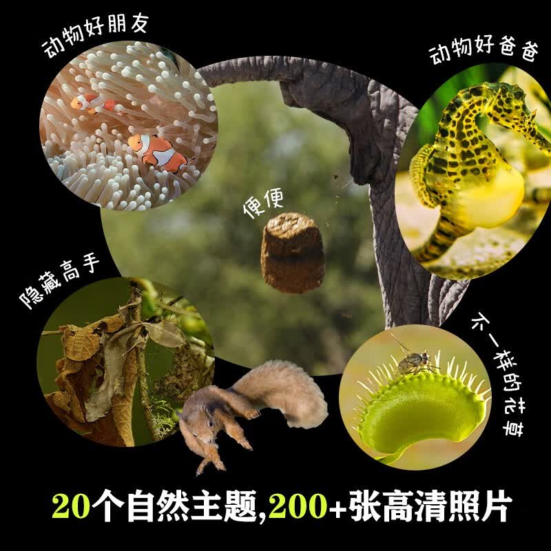 图 4