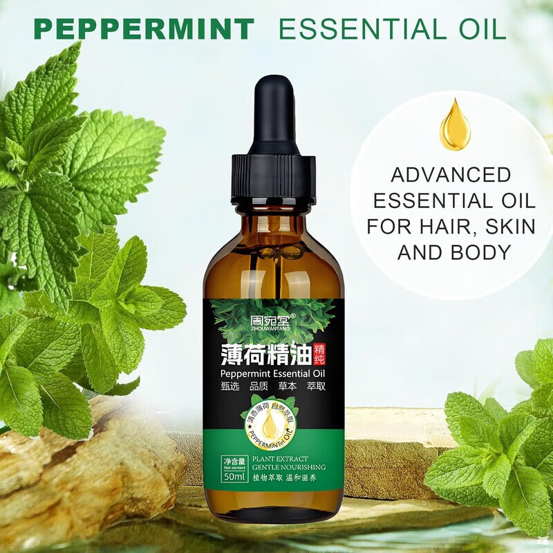 薄荷精油驱虫天然驱蚊驱鼠提神醒脑滴鼻液清凉纯油薄荷油驱虫 100毫升薄荷精油+1个喷壶