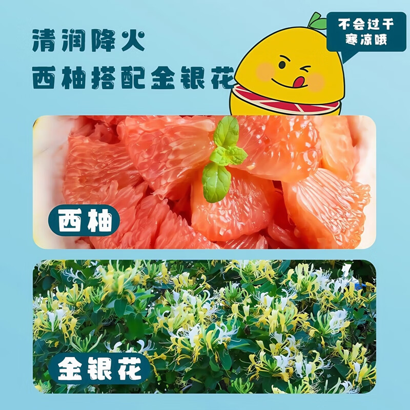 朕皇北京同仁堂金银花柚子汁儿童成人健康降火清火茶果汁饮料0脂0添加 【1盒装】体验装 1400g/盒
