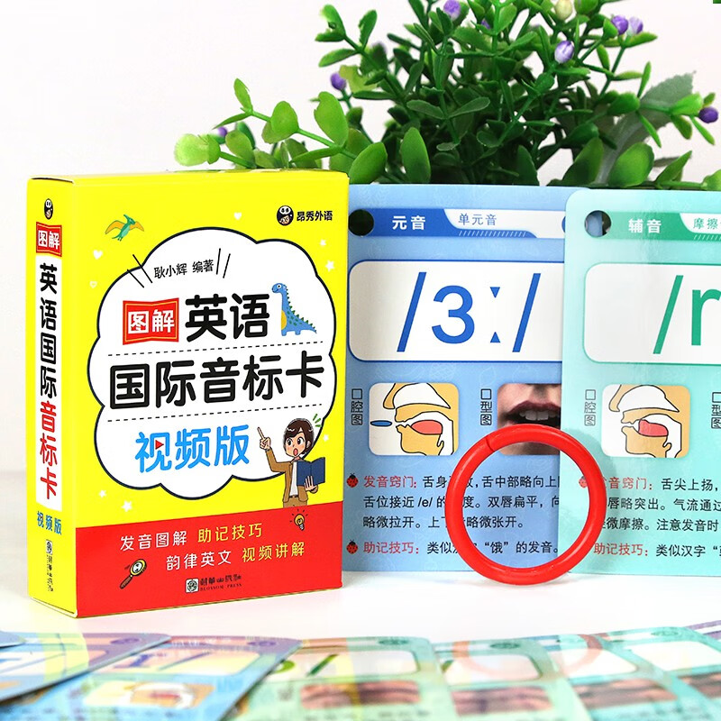 【官方正版】英语晨读美文小学生1-6年级读口语练习书100篇同步一二年级三四五六年级英语经典晨读21天图解每日打卡 【9.9赠视频】英语国际音标卡怎么样,好用不?