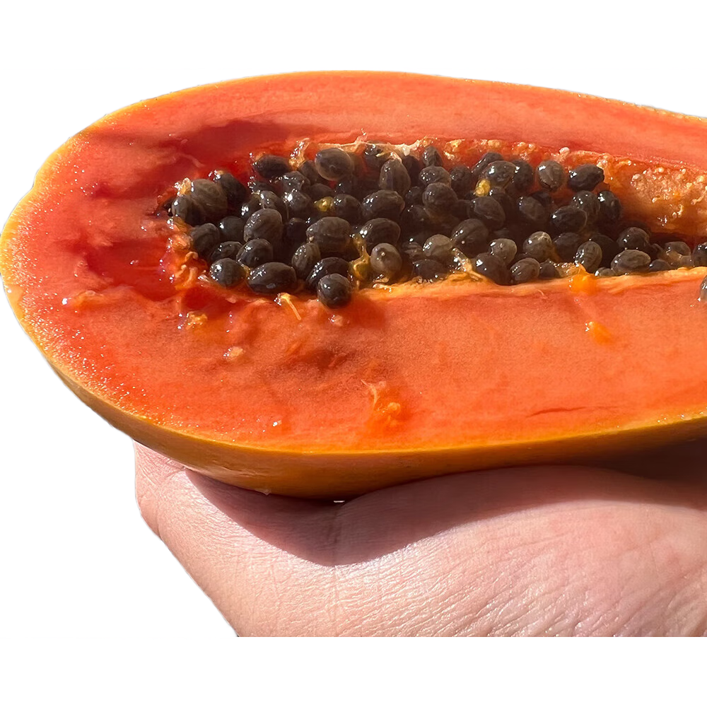 ˮľ  ˮ 400 ľ5װ3-5ö 22.9Ԫ