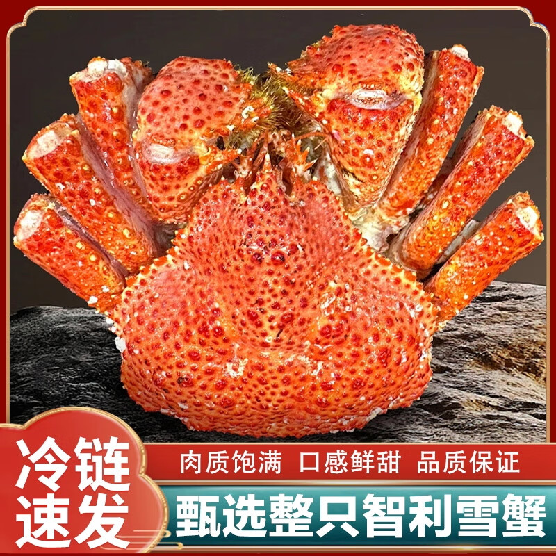 BOWO智利熟冻雪蟹 整只冷冻大螃蟹海鲜水产双11热门商品 整只雪蟹 300-350g/只*2只 600g