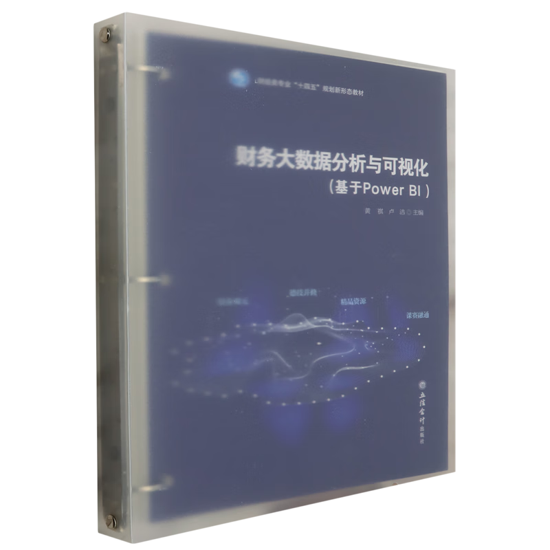 新华正版 财务大数据分析与可视化:基于Power BI 会计、审计