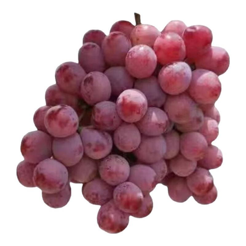 ������ ���� ��Ƥ�����֭ ����Ӧ��ˮ�� 5��װ27.9Ԫ