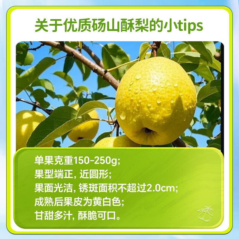 雷允上纯梨膏120g秋梨膏清润细腻换季儿童大人滋补便捷饮品