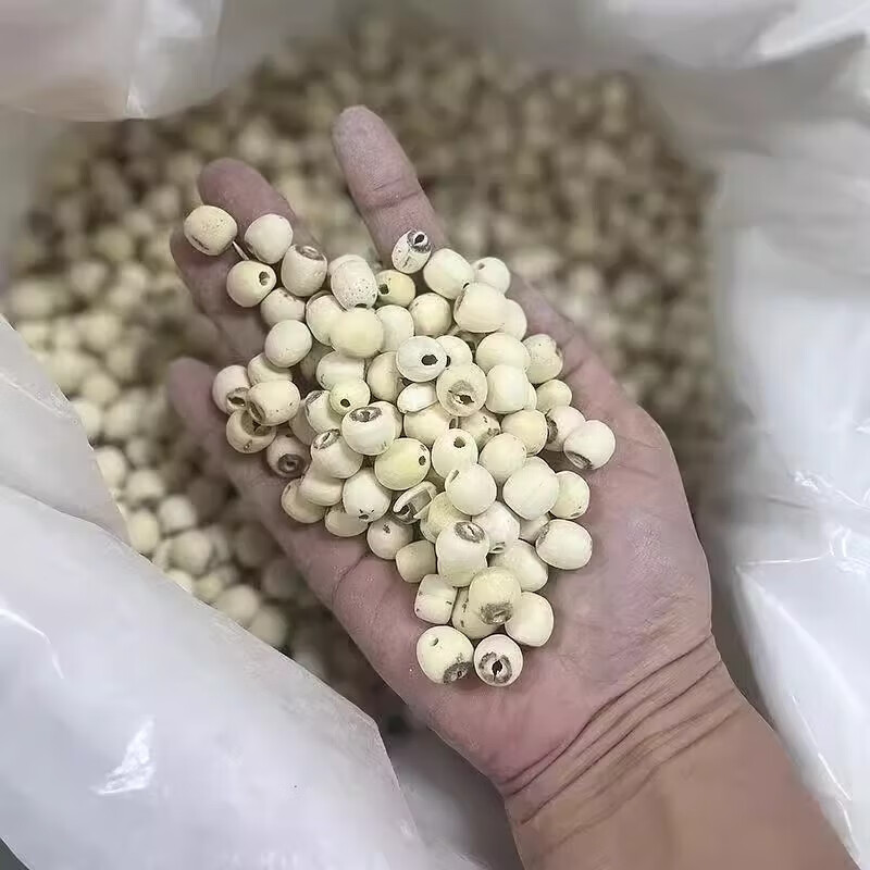 万馥堂莲子正宗中药材连子湘莲白莲子莲籽白莲子泡水泡茶喝的功效与作用 【粉糯易煮】莲子100g