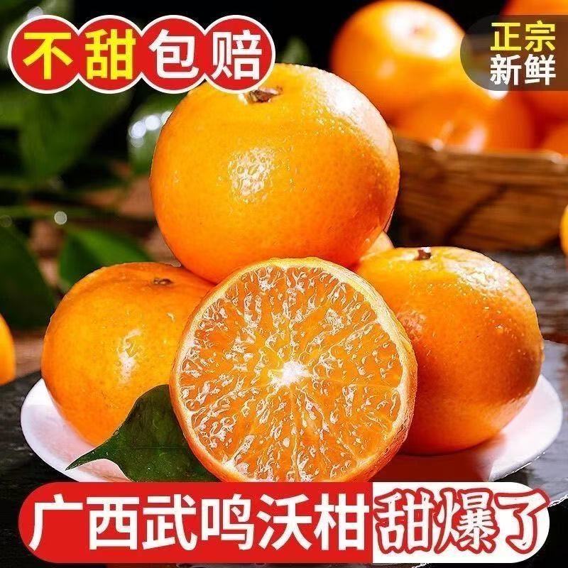 【东东农场专供】武鸣沃柑新鲜采摘现摘现发 沃柑2斤装