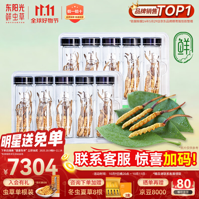 东阳光鲜虫草0.4-0.6g/根100根新鲜冬虫夏草补品送长辈老人源头直发包邮