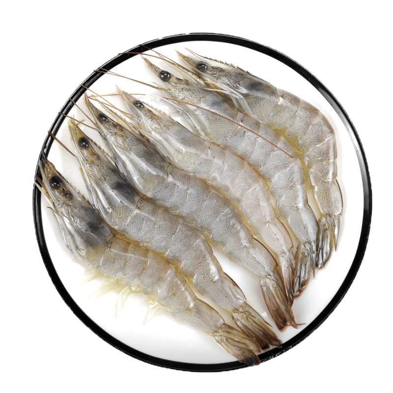 25种虾评测：虾类双11购买攻略富山虾 红魔虾 蓝虾 龙虾 斯干比 甜虾