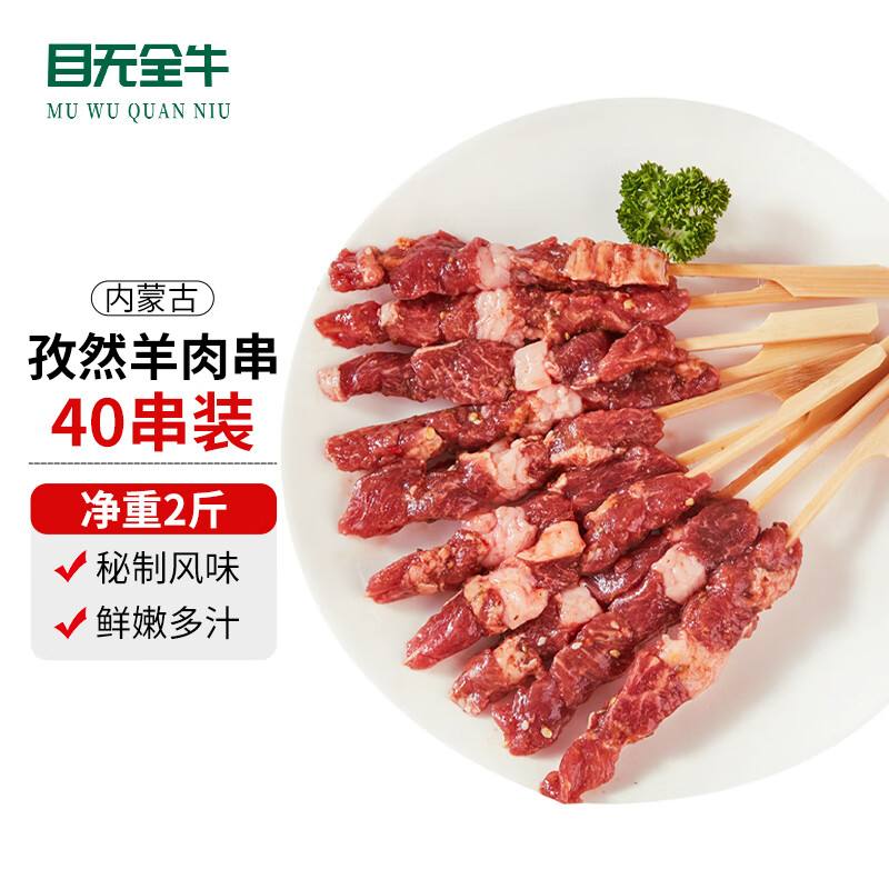 目无全牛内蒙古孜然羊肉串 净重2斤 （40串）国产手工羊肉串露营户外烧烤 