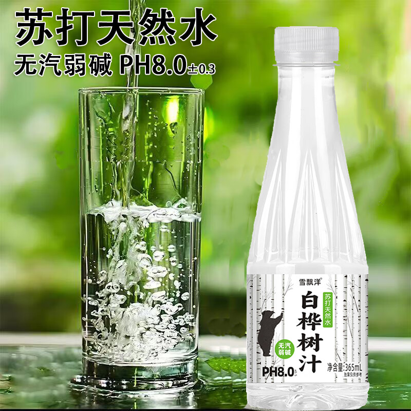 雪飘洋白桦树汁苏打水植物饮料整箱团购批发 365ml*12瓶