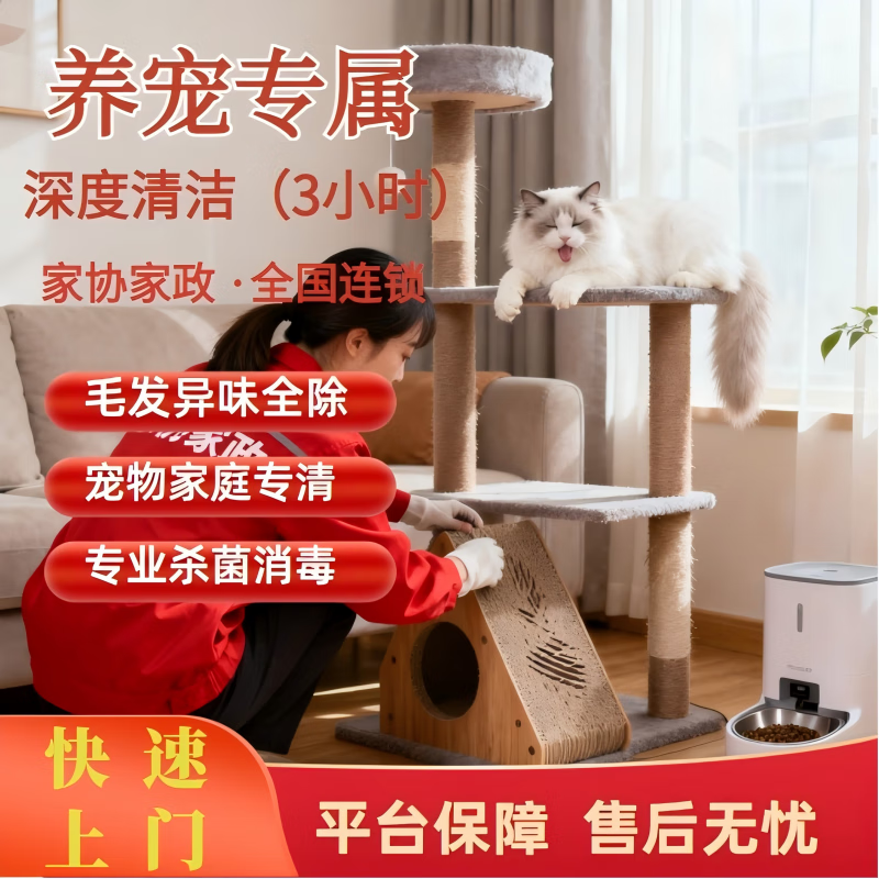 ���ڲ���������������� ���ⷿ���� �����������ŷ��� �г����ͥ����ë����ëȥ�� ���������רҵ���ﱣ�� ����������ר����3Сʱ 155Ԫ