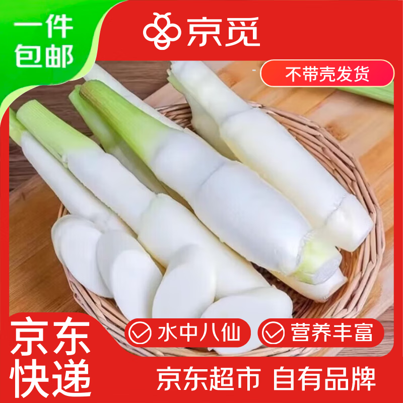 京觅江苏无锡高笋茭白 净重5斤 单颗60g+ 新鲜蔬菜 源头直发包邮