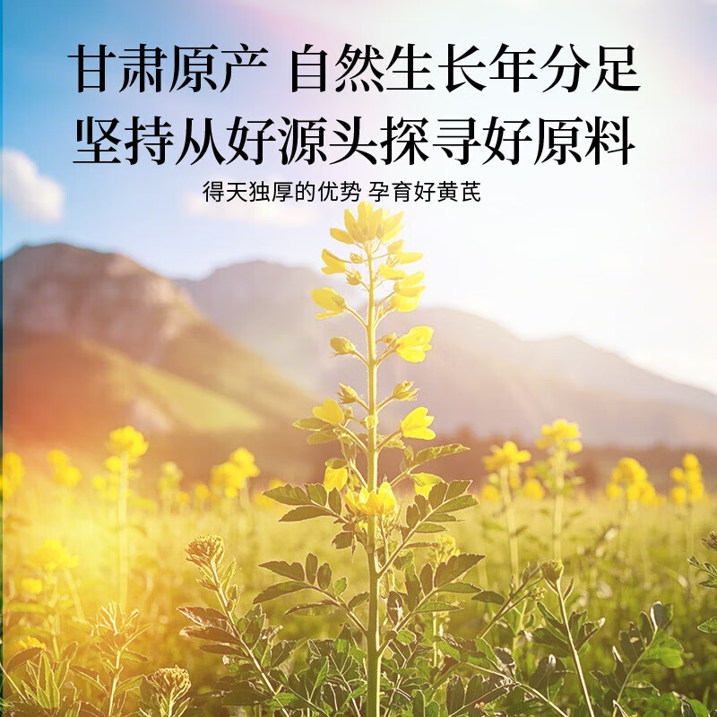 朕皇北京同仁堂黄芪片甘肃陇西原产正宗无硫养生茶磨粉泡水泡酒 黄芪200g*3罐 礼盒装