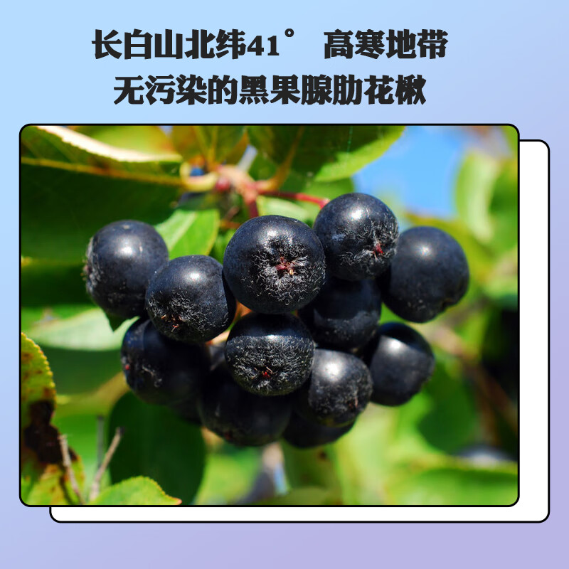 林源春白桦树汁 原液饮料100％NFC植物饮料 不老莓原汁1L*1盒