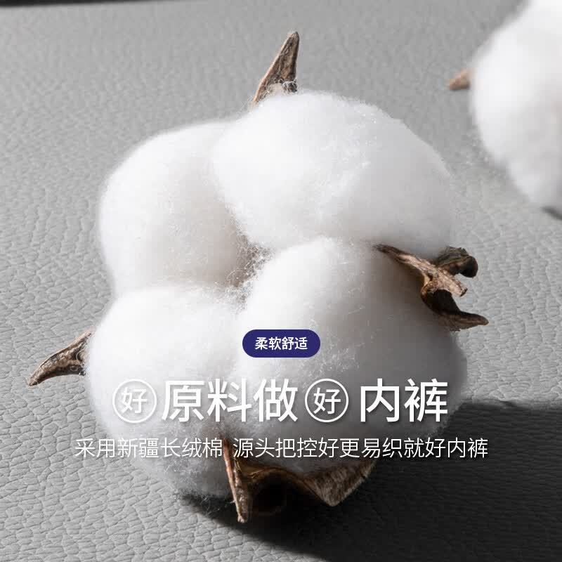 浪莎10A抗菌男士内裤纯棉透气耐汗超强弹性舒适贴身运动防潮平角裤衩 【深灰+浅灰+深麻灰+浅麻灰】4条装商务质感款 3XL (腰围2.8-2.9尺/160-180斤)
