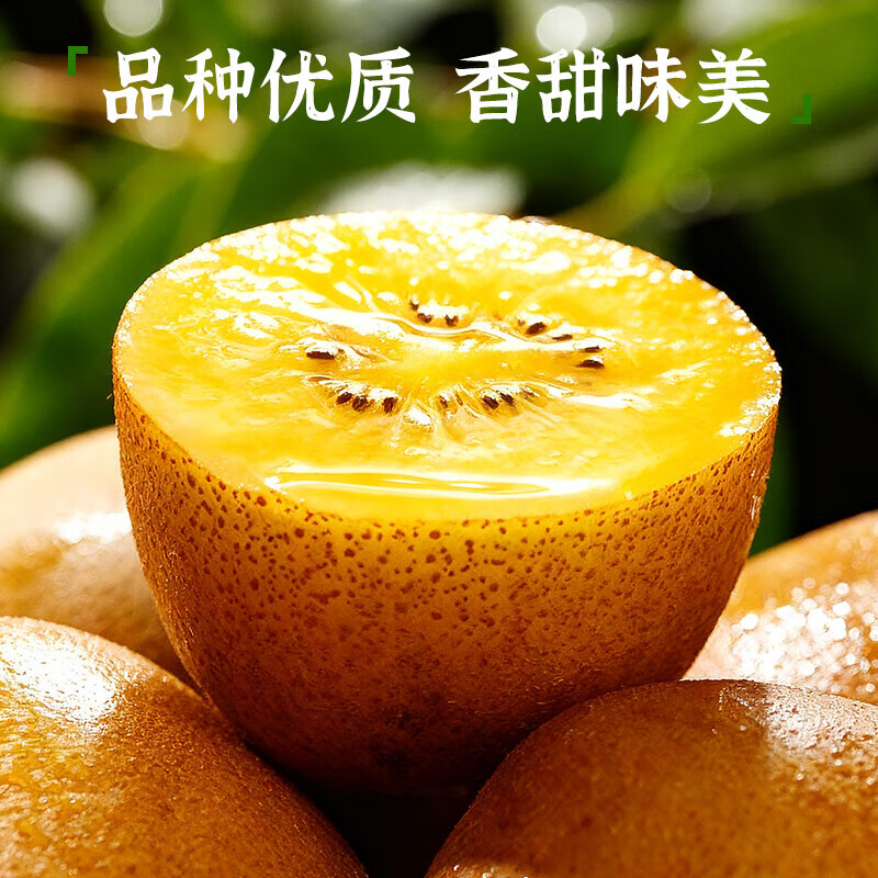 田良季黄心猕猴桃【多地次日达】南阳新鲜金果奇异果孕妇应季水果送礼盒 【彩箱】24颗标准果(单果约50-70g) 【万里挑一】臻选15年老树果