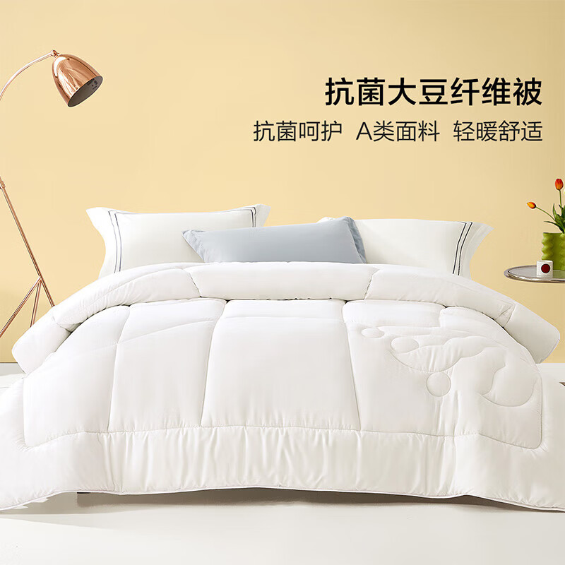 百丽丝被子a类抗菌裸睡保暖春秋冬被加厚二合一被宿舍家用 抱抱娷大豆抗菌二合一被 220cm×240cm