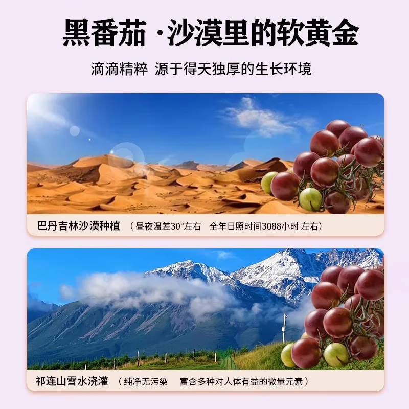 大漠紫光甘肃高台黑番茄原浆健康饮品VE花青素饮用食品30ml×15袋 【加赠2袋 超80%老客复购】原浆2大盒-含赠共32袋