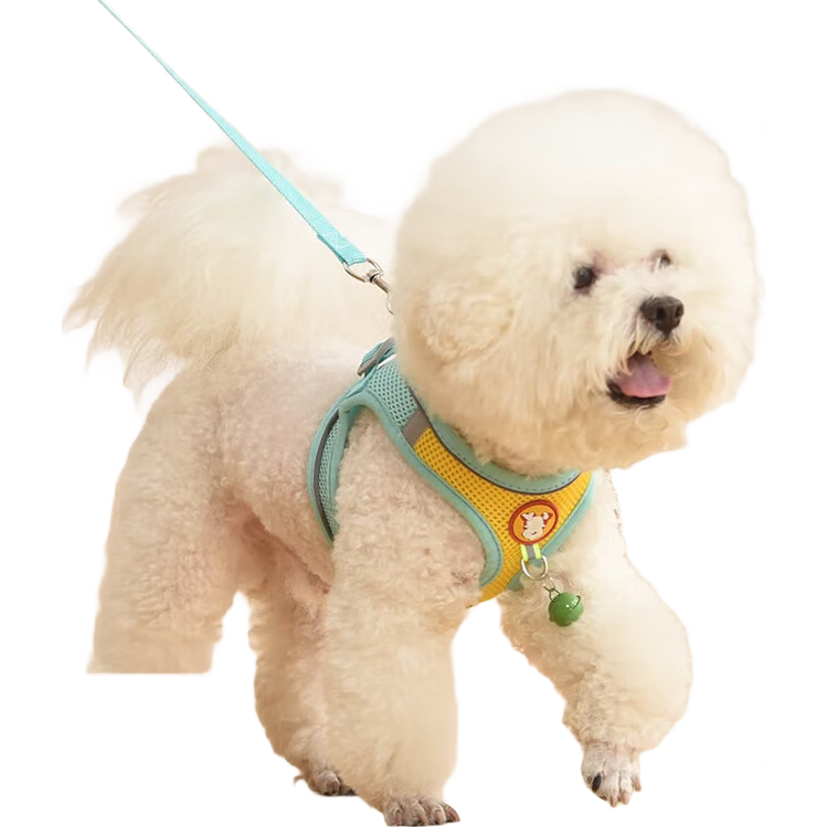 ����ʽ����ǣ����С��Ȯ����̩��ר���ر�����Ȯ�ɵ����޹������ ���̣���1.5�׳����ױ����� M����������6-10����ȳ裩