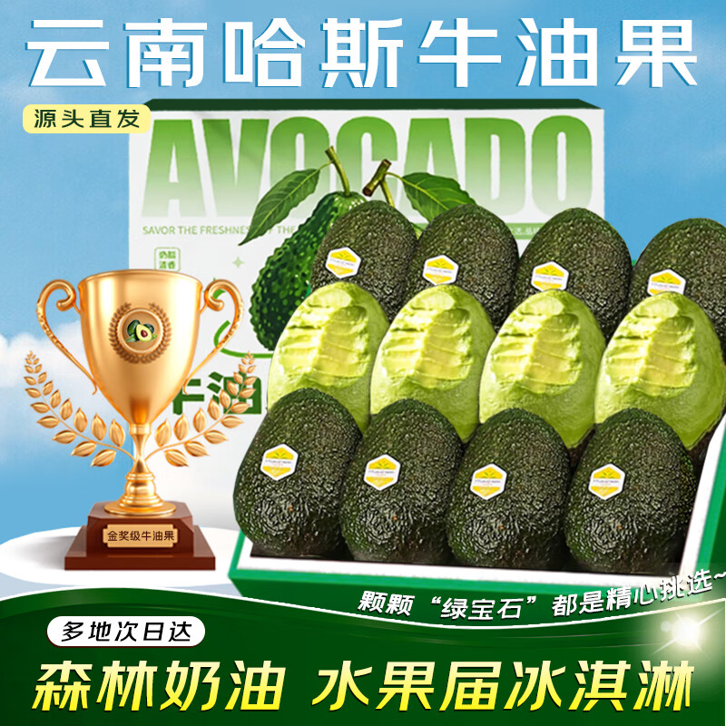 梦宛怡云南哈斯牛油果【多地次日达】当季鳄梨轻食宝宝辅食新鲜水果礼盒 4枚【尝鲜-不划算】普装 尝鲜品质中果丨单果100-130g