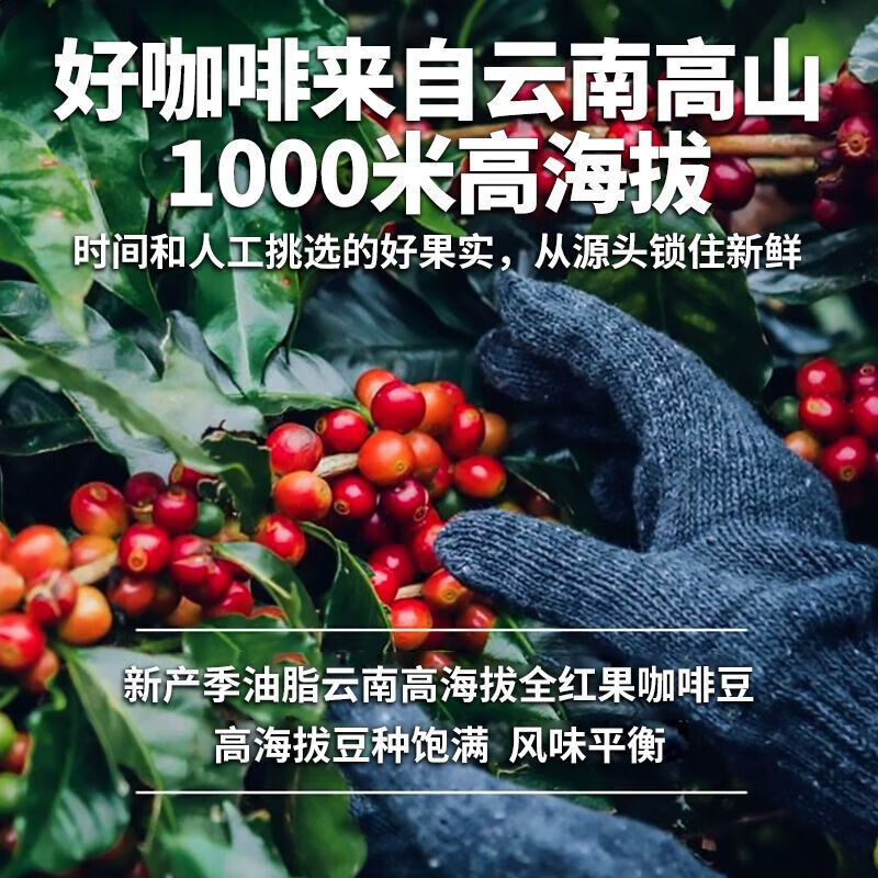 邮政农品邮政葡萄柚黑咖啡30条/盒速溶冷热双泡精选阿拉比卡0蔗糖0脂肪0卡 葡萄柚黑咖啡3盒