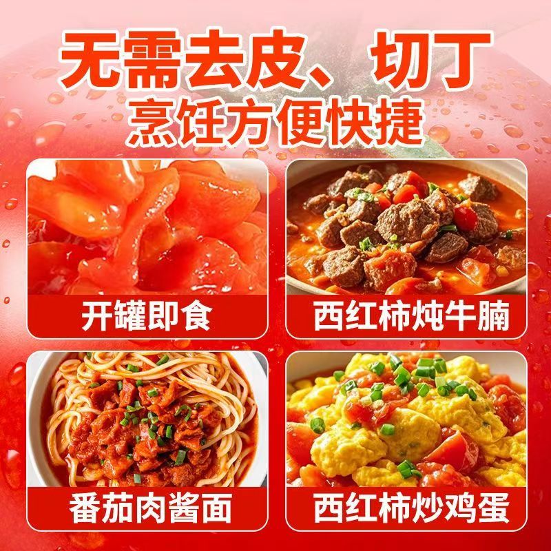 屯河【整箱】中粮屯河番茄丁新疆西红柿块罐头新鲜自然0添加0脂家用 屯河番茄丁200g*24罐（25年新货） 4800g 中粮品质保证 中粮集团品质保证