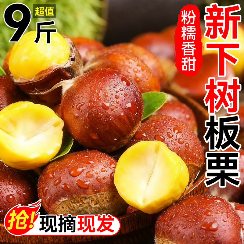鲜级佳丹东板栗新鲜当季东北特产野生锥栗大果甜糯毛栗子现摘整箱包邮 产地直发 单果 21mm+ 净重4.82斤