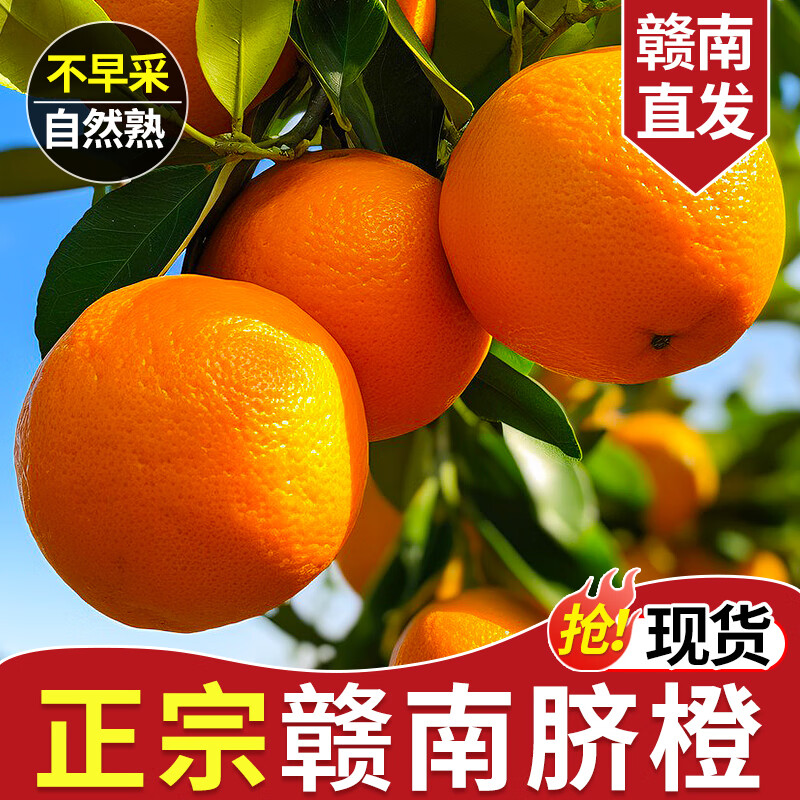 赣南脐橙正宗江西赣州脐橙 新鲜水果整箱孕妇 团购送礼榨汁橙年货礼盒橙子 5斤装（净果4.5斤）单果150g-220g+ 源头产地直发 甄选品质