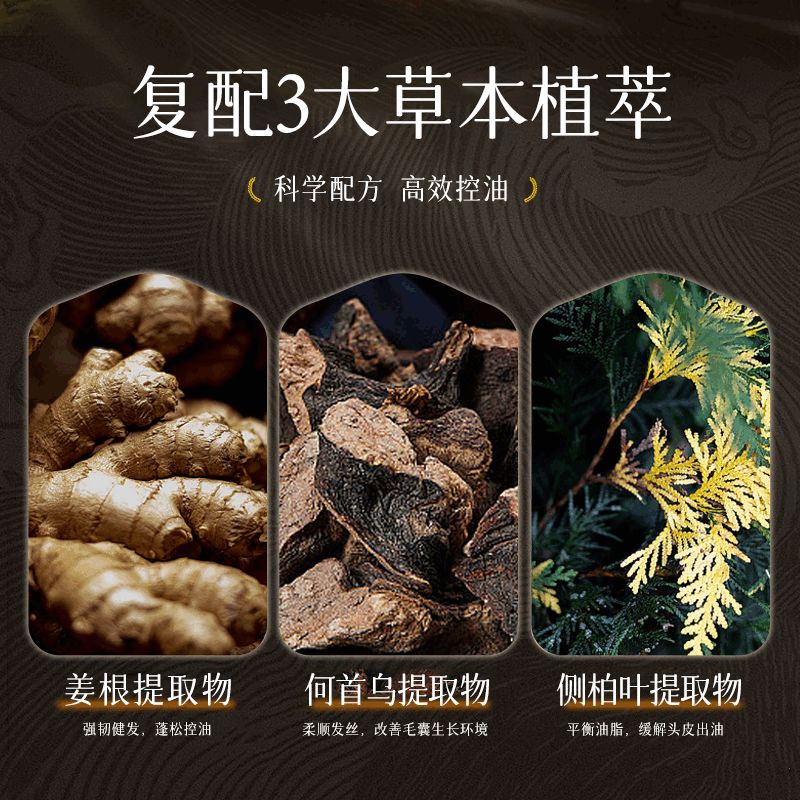 集羽宣防脱洗发水【正品旗舰】 控油蓬松防断发育发集羽宣增密发洗发水 【防断发】洗发水500ml*2+健发液*2