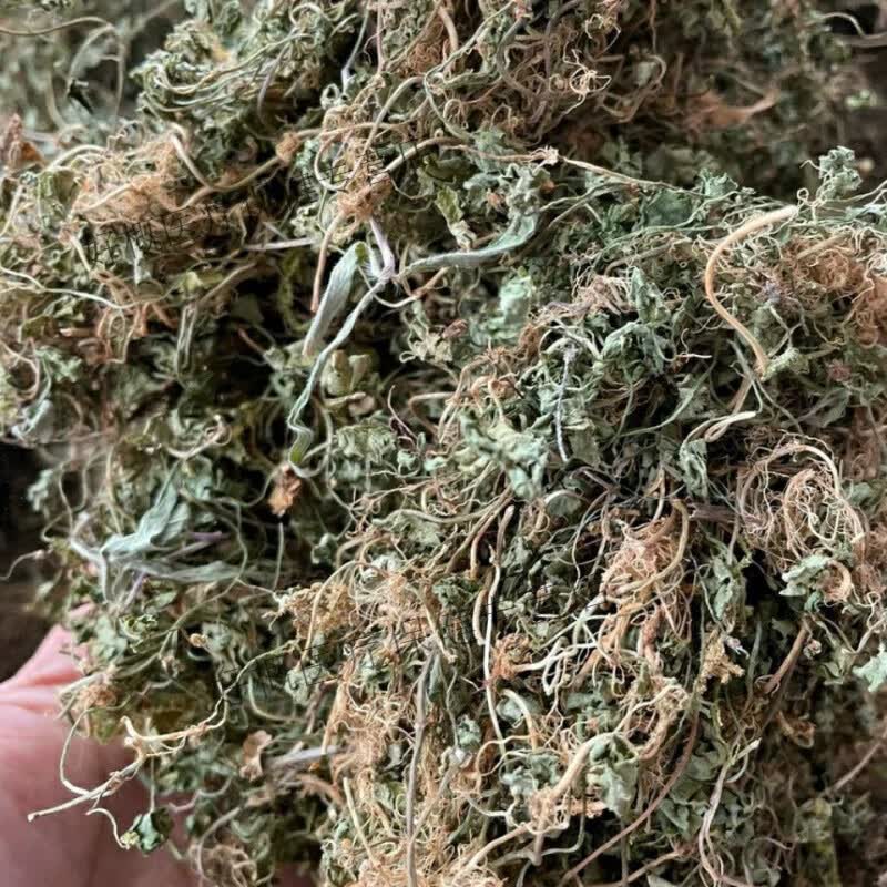 同仁堂满天星中草药满天星 晒干 天胡荽小叶破铜钱 盆上芫荽 满天星