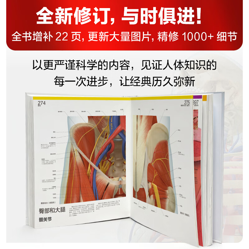 【樊登推荐】DK人体大百科修订版 人体视觉图鉴 家庭医生人体生理生命运转 医学科普生命教育 6-12岁青少年儿童医学人体科学科普百科全书 小学生课外阅读书籍 英国DK公司 新华正版 DK人体大百科