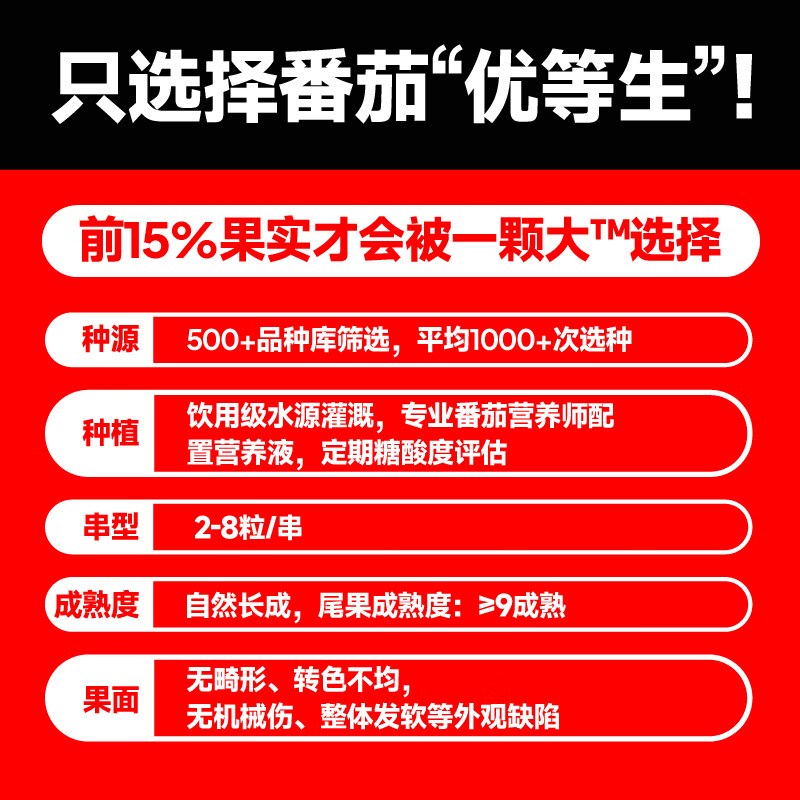一颗大【】玲珑串樱桃番茄小西红柿新鲜自然熟孕妇应季水果1kg/盒 1000g 玲珑串番茄（1kg*1盒）