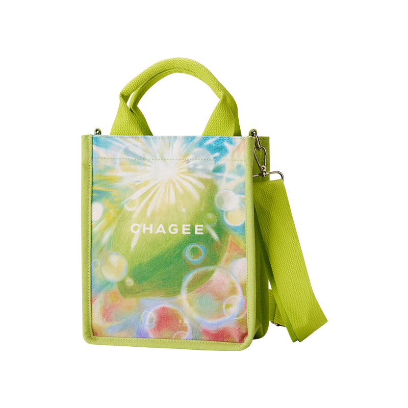 CHAGEE �����輧 ���ʵ���б���  23Ԫ�������ã�