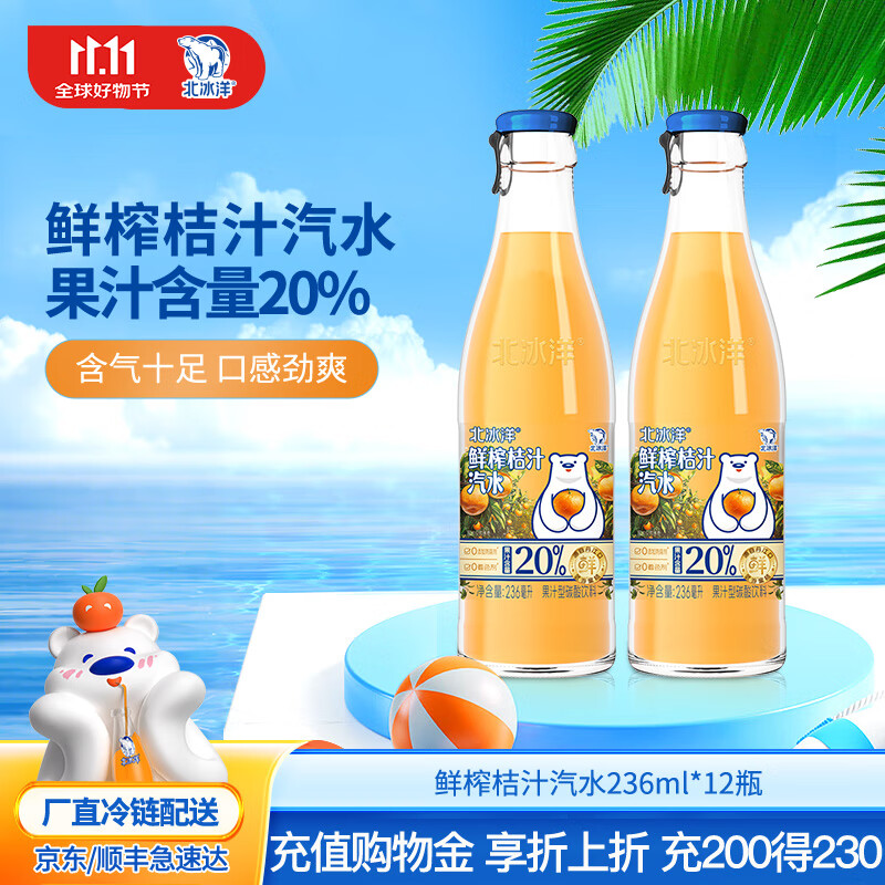 北冰洋北京玻璃瓶果汁碳酸饮料 鲜榨20%含量果汁桔汁汽水 236ml×12瓶