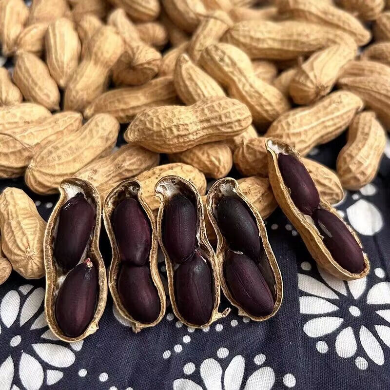 云南富硒生黑花生带壳黑花生米黑衣花生养胃花生批发养生原味好吃 1斤  精选出口级老品种小粒独粒黑花生 回甜味好