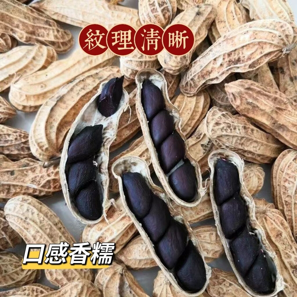 超底价】黑花生农家新货带壳花生花生米原味紫皮新鲜晒干黑皮批发 带壳黑花生+优选农家自种+地道口感 4斤