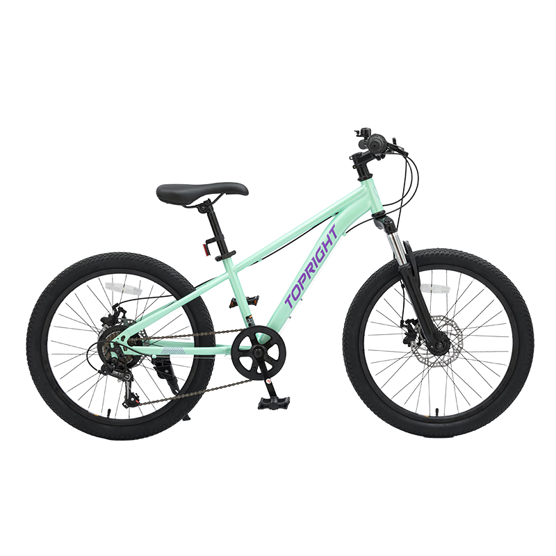 途銳達(dá)兒童山地自行車8-12歲大童男女孩變速單車小學(xué)生24寸雙碟剎腳踏車 MTS050【遠(yuǎn)山青】 26寸【7速】