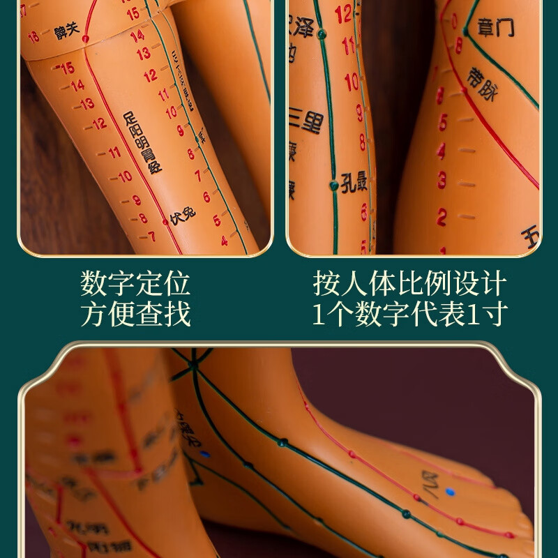 60cm针灸人体模型彷真穴位经络小铜人形十二按摩身标准可扎 功能创伤护理人模型