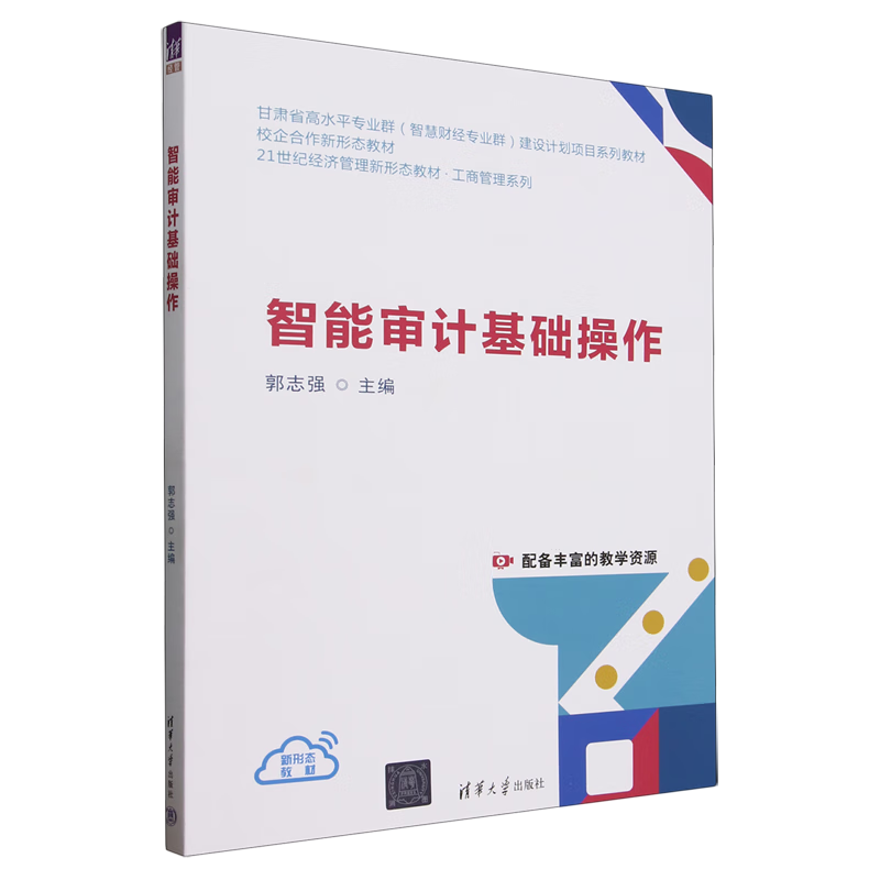 新华正版 智能审计基础操作 会计、审计