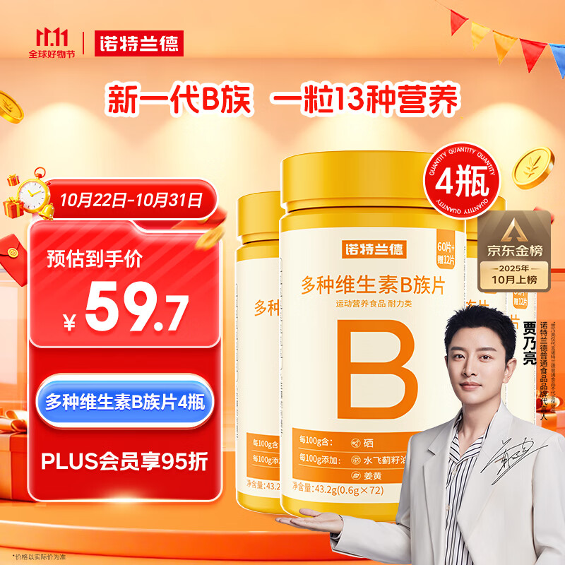 诺特兰德多种维生素B族片【72片/瓶*4】复合维b1b2b6b12烟酸叶酸牛磺酸	