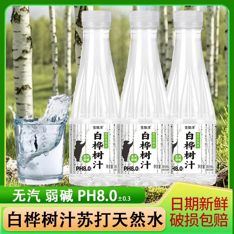 雪飘洋白桦树汁苏打水植物饮料整箱团购批发 365ml*12瓶