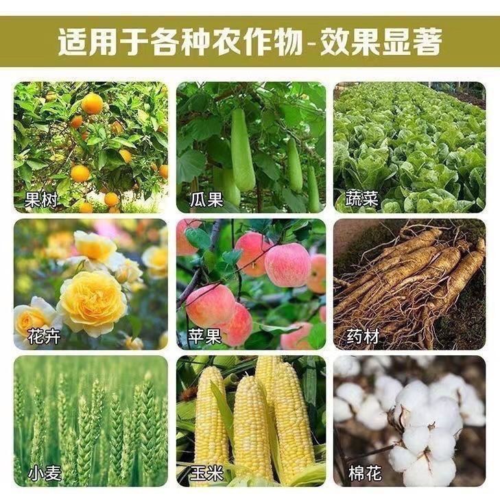 磷酸一铵高效水溶肥磷酸一铵农用叶面肥磷肥氮肥全水溶复合肥正品 50斤整袋