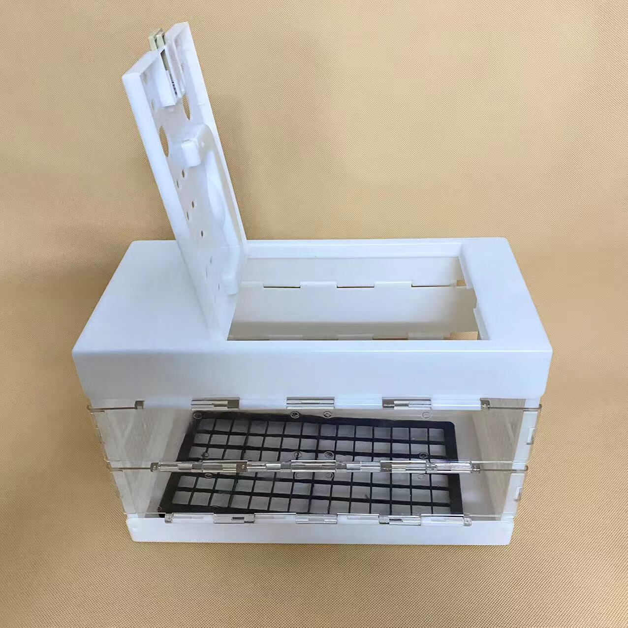 鹿色标榜鸽子训放笼塑料放飞笼折叠手提鸽笼训鸽笼报道笼信鸽用品用具